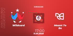 Wildcard VS Meant To Be Wildcard VS Meant To Be